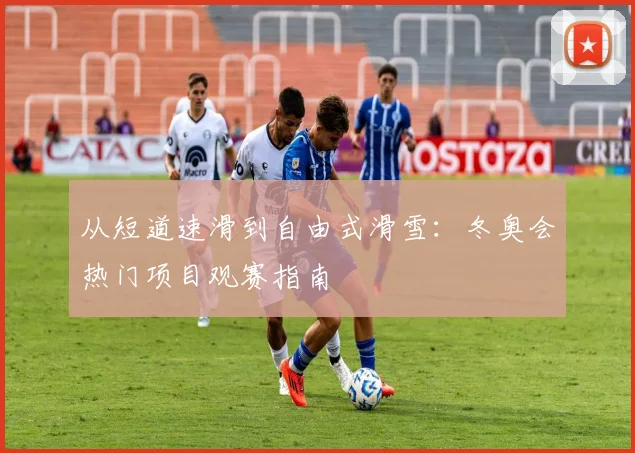 从短道速滑到自由式滑雪：冬奥会热门项目观赛指南