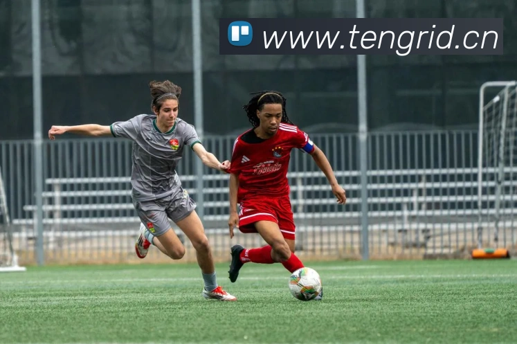 华体育会登录网官网服务体系